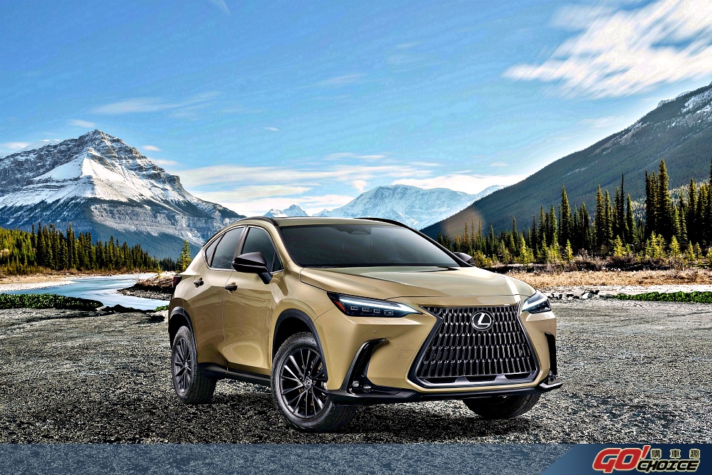 Lexus NX-1